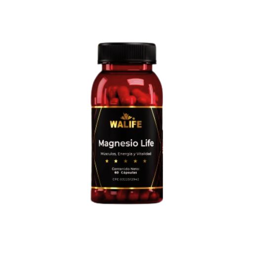 MAGNESIO LIFE CITRATO DE MAGNESIO 500MG CAP X 60 WALIFE